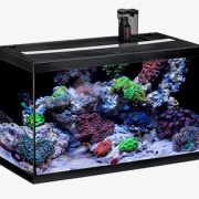 aquastar-63-marine-black