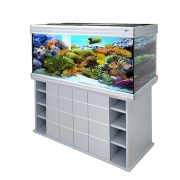 biodesign-altum-450-silver