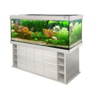 biodesign-altum-700-bleachedoak
