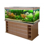 biodesign-altum-700-buk