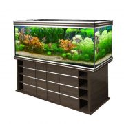 biodesign-altum-700-goldennut