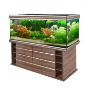 biodesign-altum-700-shimo