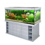 biodesign-altum-700-silver