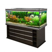 biodesign-altum-700-wenge