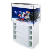 biodesign-altum-panoramic-135-white