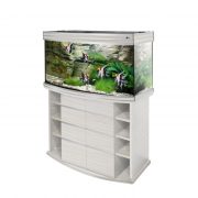 biodesign-altum-panoramic-200-bleachedoak