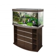 biodesign-altum-panoramic-200-goldennut