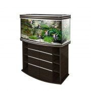 biodesign-altum-panoramic-200-wenge