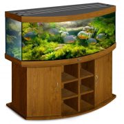 biodesign-panorama-600-goldenoak