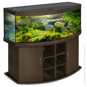 biodesign-panorama-600-wenge
