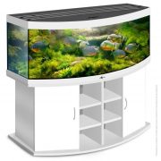 biodesign-panorama-600-white