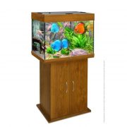 biodesign-rif-100-goldenoak