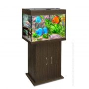 biodesign-rif-100-wenge