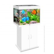 biodesign-rif-100-white