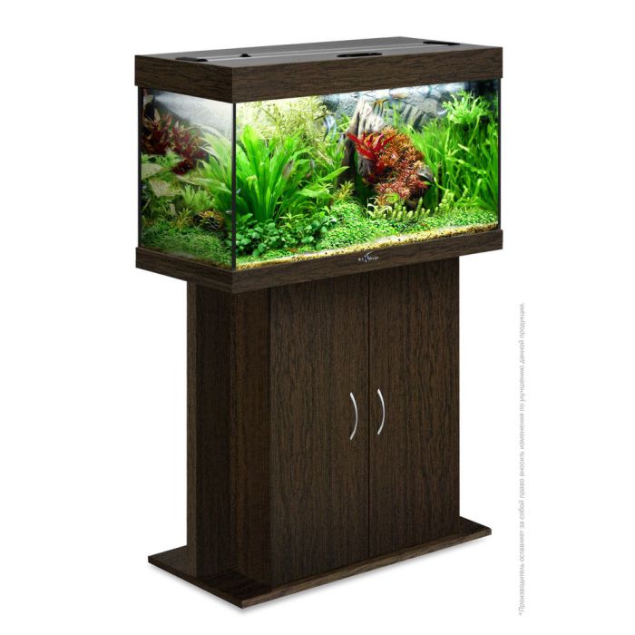 biodesign-rif-125-wenge