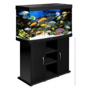 biodesign-rif-200-black