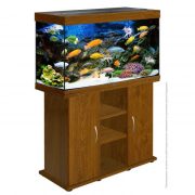 biodesign-rif-200-goldenoak