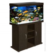 biodesign-rif-200-wenge