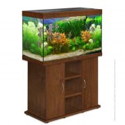 biodesign-rif-250-goldennut