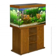 biodesign-rif-250-goldenoak