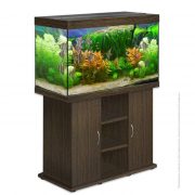 biodesign-rif-250-wenge