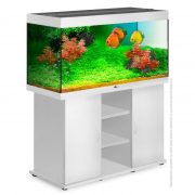 biodesign-rif-300-silver