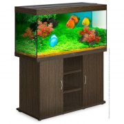 biodesign-rif-300-wenge