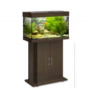 biodesign-rif-80-wenge