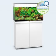 juwel-rio125-white juwel-rio125-white