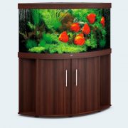 juwel-trigon350-dunkelbraun juwel-trigon350-dunkelbraun