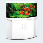 juwel-trigon350-white juwel-trigon350-white