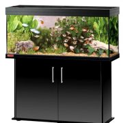 viviline-240-black viviline-240-black